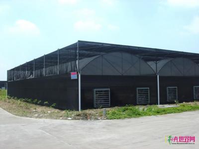 温室工程